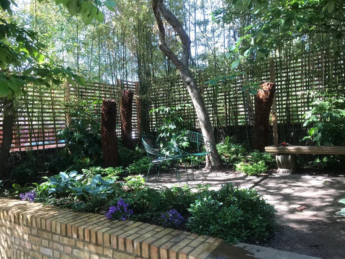 Amenajări grădini în Timișoara – cum se construiește corect un spațiu verde care arată bine și peste ani
