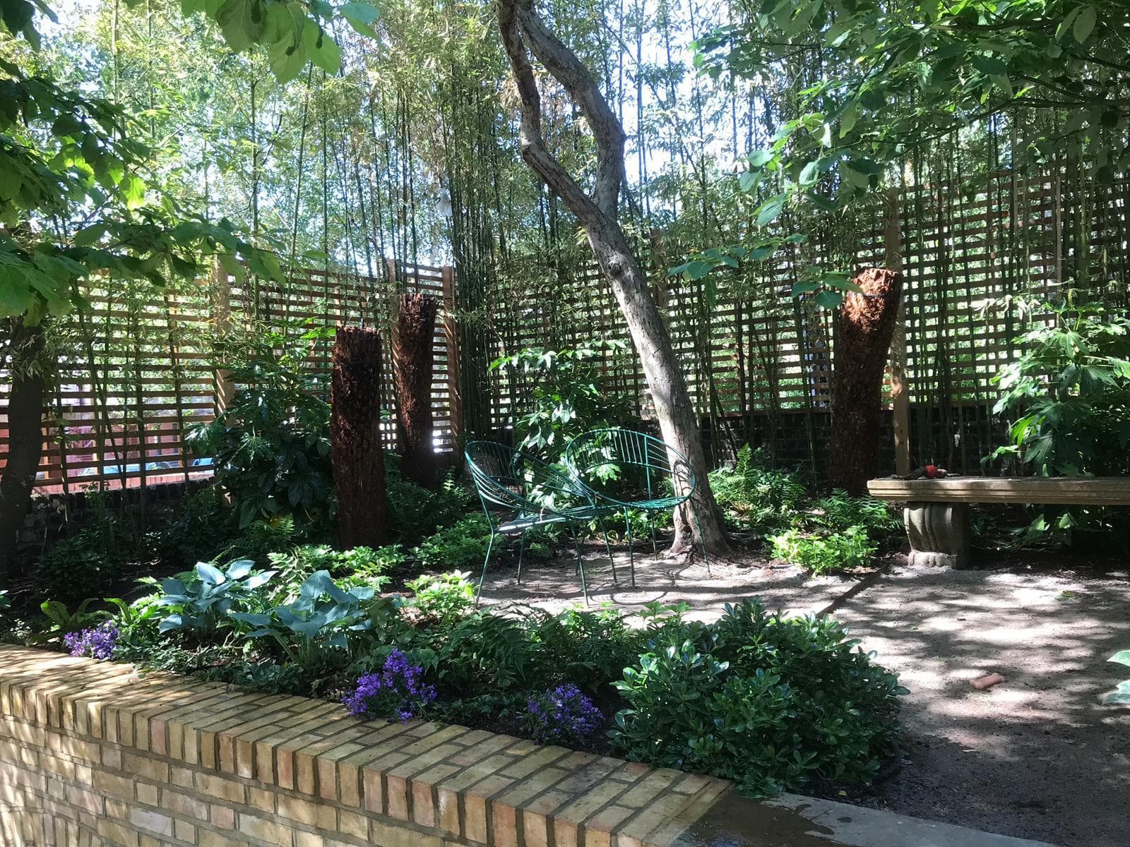 Amenajări grădini în Timișoara – cum se construiește corect un spațiu verde care arată bine și peste ani