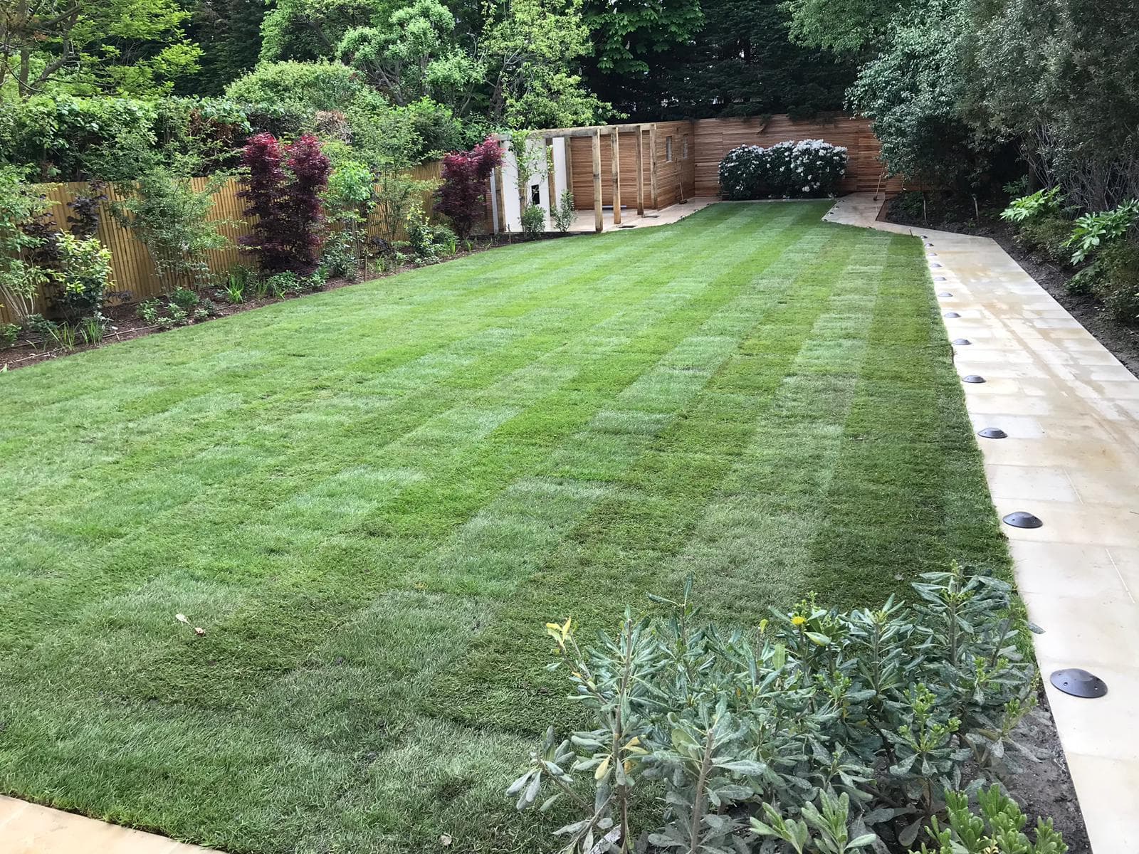 Cum se instalează corect gazonul: substrat, pregătire și greșeli de evitat